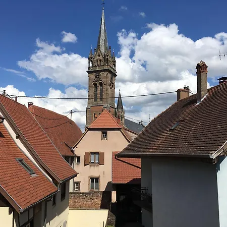 L'ecureuil * Dambach-la-Ville