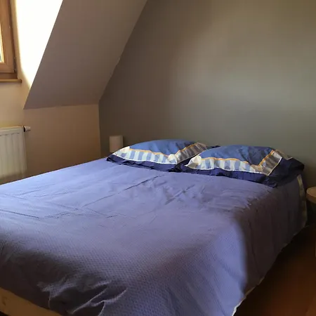 L'ecureuil * Dambach-la-Ville