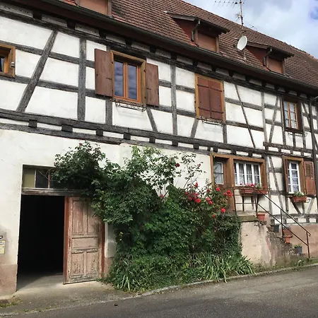 L'ecureuil Dambach-la-Ville